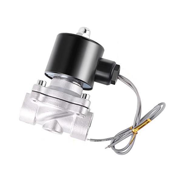 Water Solenoid Valve 110V 2S Series Stainless Steel Normally Closed Electric Solenoid Valve