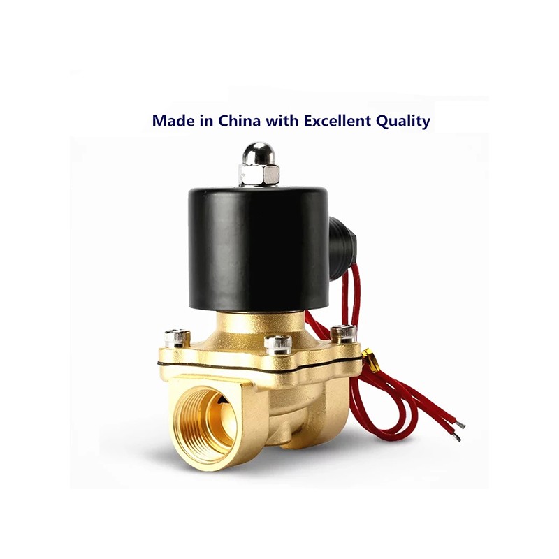 2 Way Solenoid Valve For Water 2W Series 2W160-15 Brass Electric Solenoid Valve Manufacturer